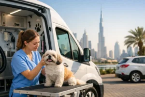 How to Set Up a Mobile Pet Grooming License in Dubai